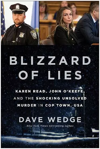 Blizzard of Lies cover
