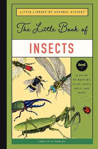 The Little Book of Insects cover