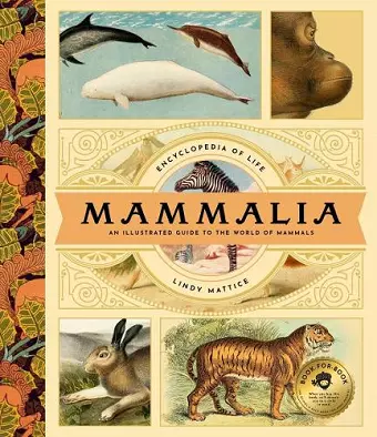 Mammalia cover