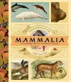 Mammalia cover
