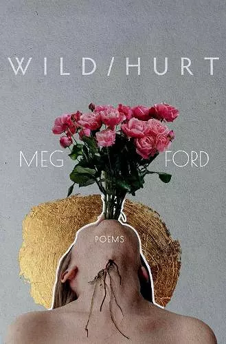 Wild/Hurt cover
