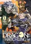 Reincarnated as a Dragon Hatchling (Light Novel) Vol. 4 cover