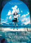 The Tunnel to Summer, the Exit of Goodbyes (Light Novel) cover