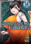World's End Harem Vol. 14 - After World cover