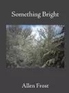 Something Bright cover