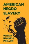 American Negro Slavery cover