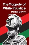 The Tragedy of White Injustice Paperback cover