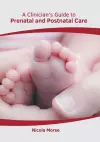 A Clinician's Guide to Prenatal and Postnatal Care cover