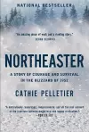 Northeaster cover