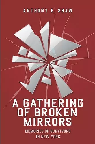 A Gathering of Broken Mirrors cover