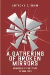 A Gathering of Broken Mirrors cover