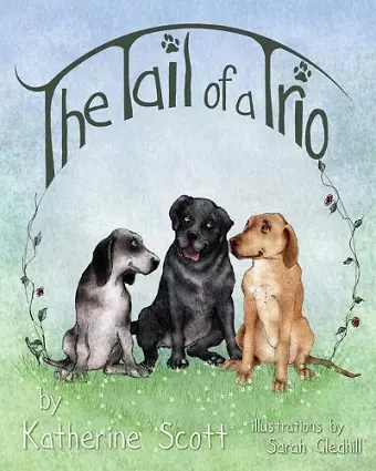 The 'Tail' of a Trio cover