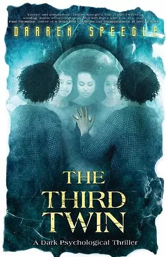 The Third Twin cover