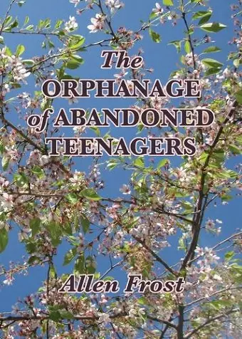 The Orphanage of Abandoned Teenagers cover