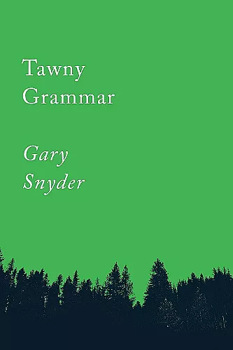 Tawny Grammar cover
