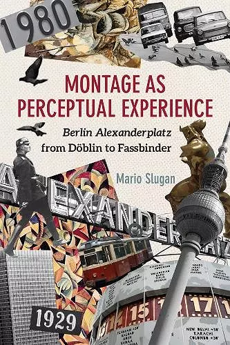 Montage as Perceptual Experience cover