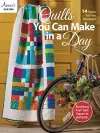 Quilts You Can Make in a Day cover