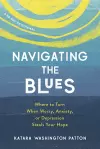 Navigating the Blues cover