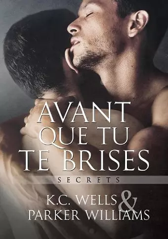 Avant Que Tu Te Brises (Translation) cover