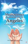 Meditaciones de sanación con los Ángeles cover