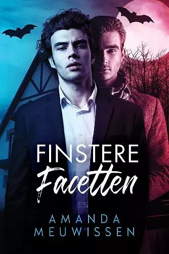 Finstere Facetten cover