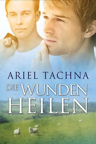 Die Wunden heilen Volume 5 cover