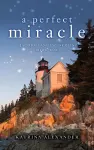 A Perfect Miracle cover