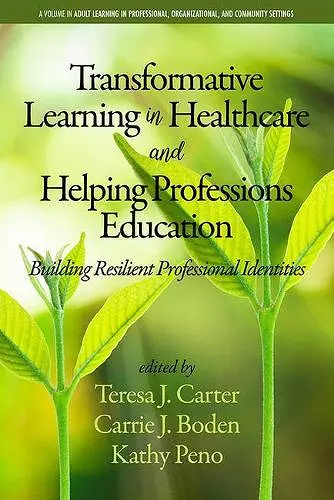 Transformative Learning in Healthcare and Helping Professions Education cover