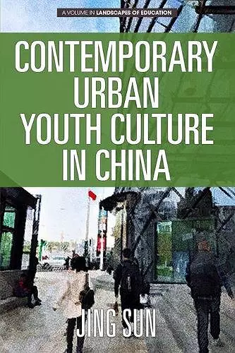 Contemporary Urban Youth Culture in China cover