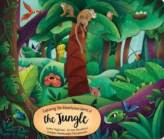 Exploring the Adventurous World of the Jungle cover