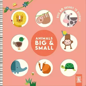 Animals Big & Small cover
