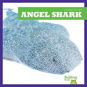 Angel Shark cover