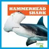 Hammerhead Shark cover