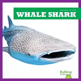 Whale Shark cover