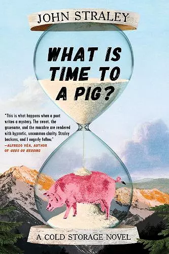 What Is Time to a Pig? cover