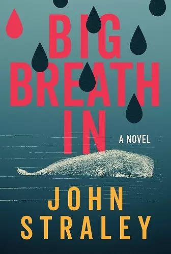 Big Breath In cover