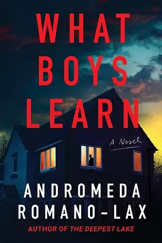 What Boys Learn cover