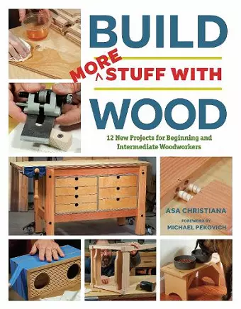 Build More Stuff With Wood cover