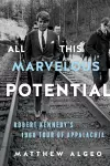 All This Marvelous Potential cover