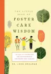 Little Book of Foster Care Wisdom cover