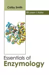 Essentials of Enzymology cover