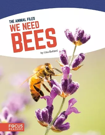 We Need Bees cover