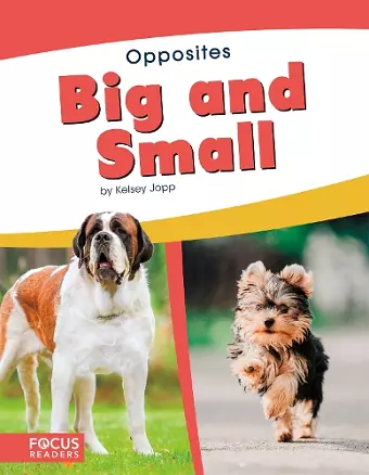 Big and Small cover