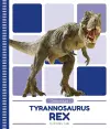 Triceratops cover