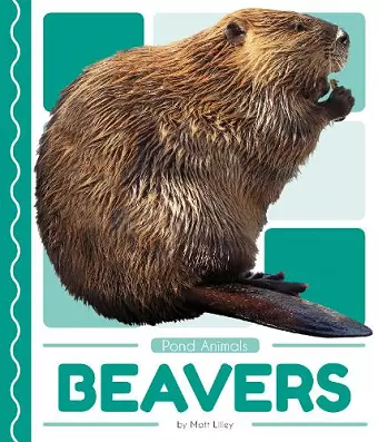 Beavers cover