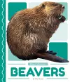Pond Animals: Beavers cover