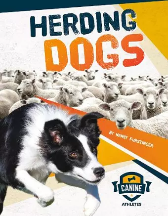 Herding Dogs cover