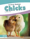 Chicks cover