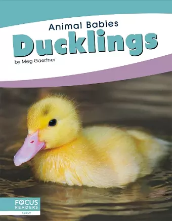 Ducklings cover