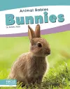 Bunnies cover